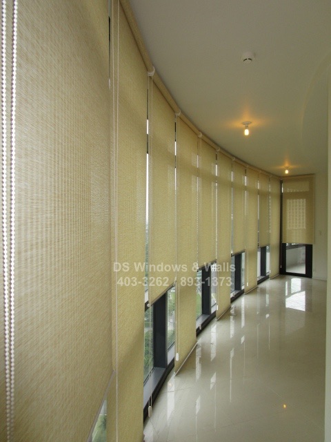 Best window covering for long glasswall office