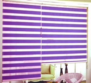 Combi Blinds for Room Divider, Metro Manila, Philippines