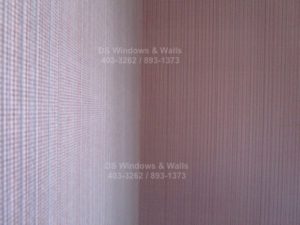 Close Up Photo of Crystal Rose Color Wallpaper