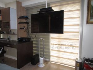 Mixing pleated and blackout combi shades