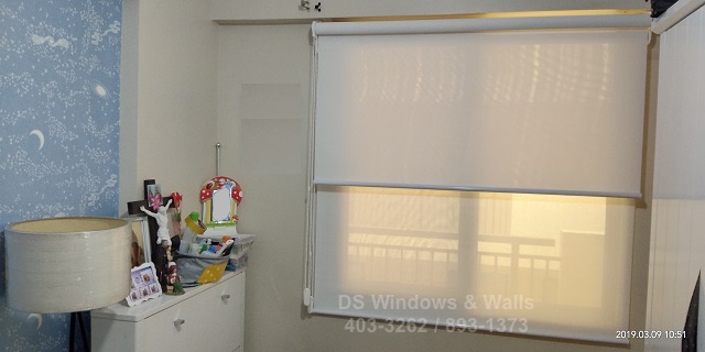 Dual Mech Roller Blinds