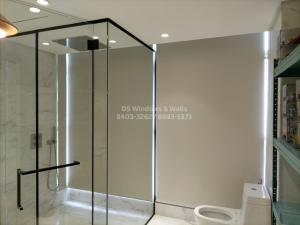 roller shades bathroom